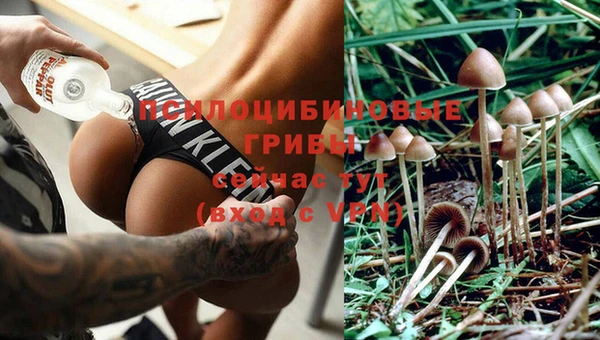 соль курить ск Белоозёрский